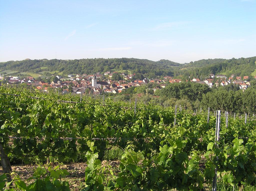 Ferienwohnung Am Alten Berg Ochsenfurt Esterno foto