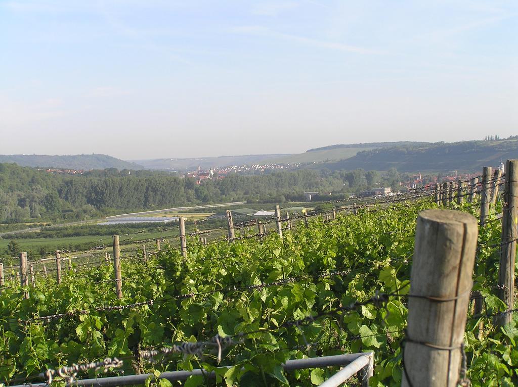 Ferienwohnung Am Alten Berg Ochsenfurt Esterno foto