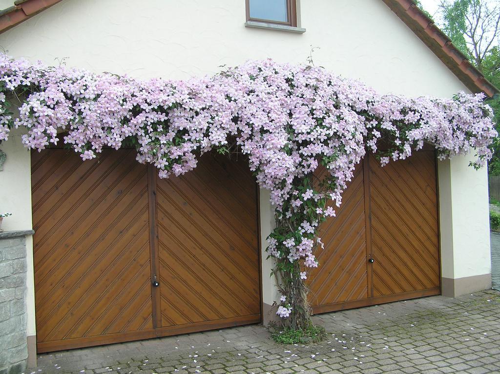Ferienwohnung Am Alten Berg Ochsenfurt Esterno foto